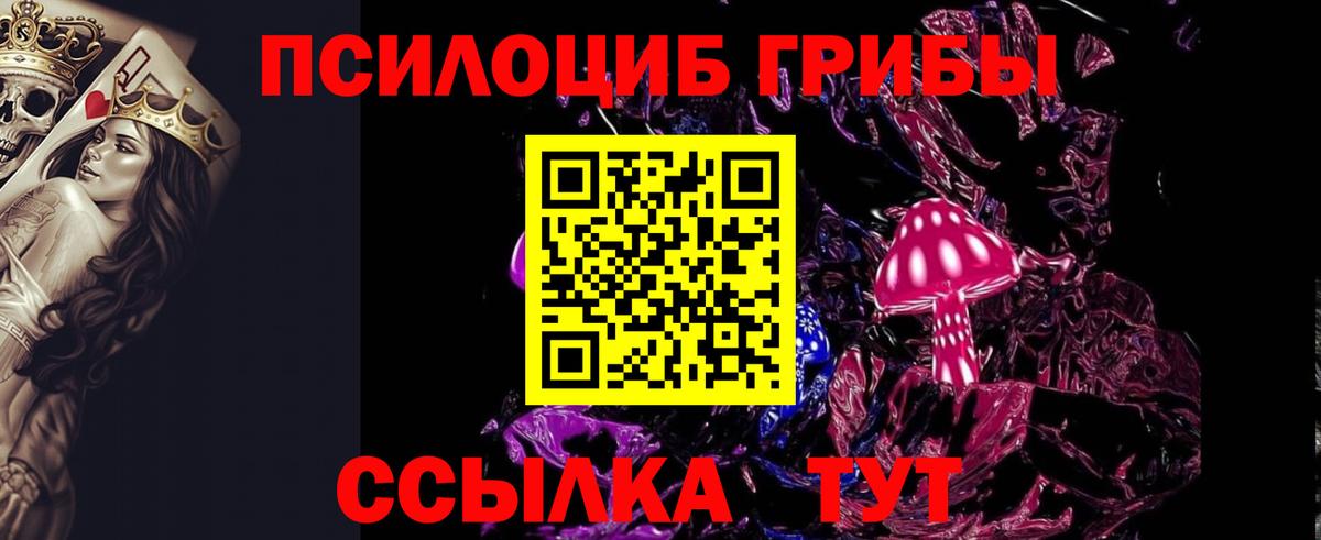 Псилоцибиновые грибы Cubensis Рыбинск